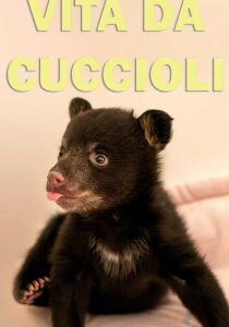 Vita da cuccioli streaming