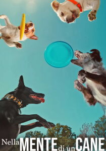 Nella mente di un cane streaming