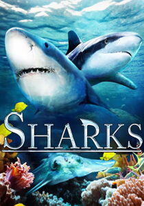 Sharks [Sub-ITA] streaming