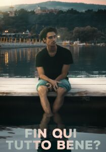 Fin qui tutto bene? streaming