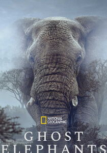 Ghost Elephants [Sub-ITA] streaming