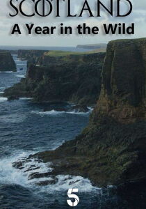 Scozia - Natura selvaggia per quattro stagioni streaming