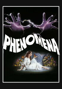 Phenomena streaming